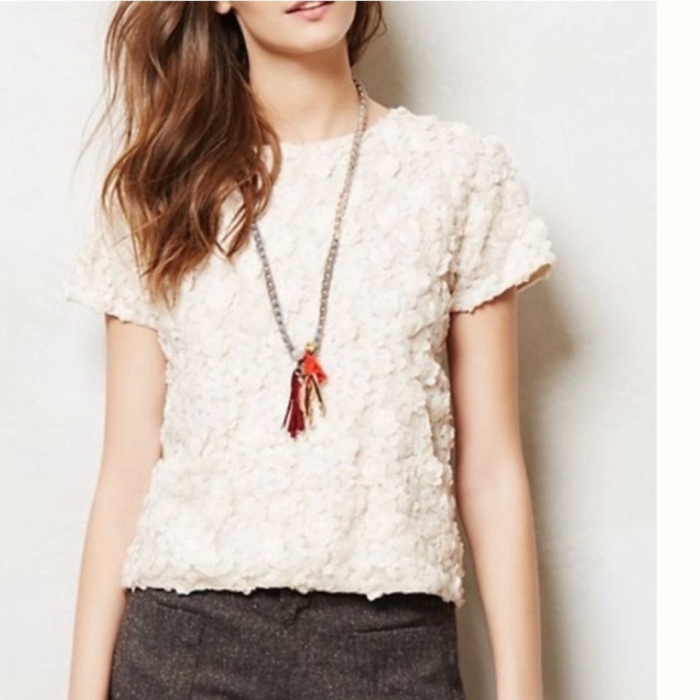 ANTHROPOLOGIE Textured Chiffon Rose Ivory Short Sleeve Top Small NEW - flawed